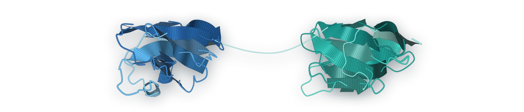 Ribbon drawings of two single-domain protein folds joined by a flexible linker.